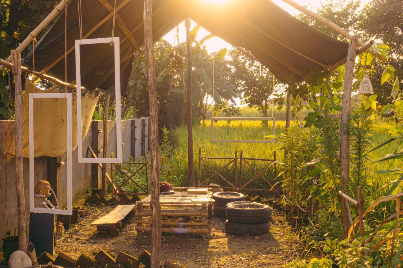 Sun N Soil Backpacker Hostel Lachhiwala Exterior photo